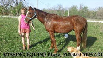 MISSING EQUINE Blaze, $1000.00 REWARD  Near Madisonville, KY, 42431